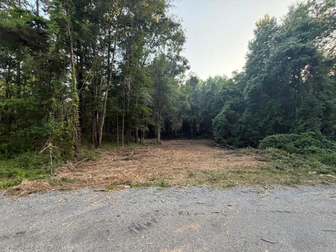 16 Acres in Lincoln County, MS 