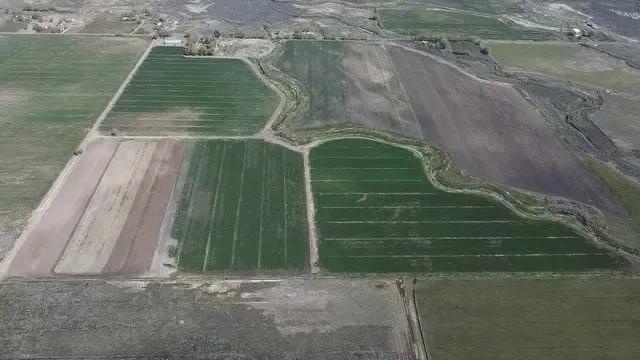 Reed Ranch
