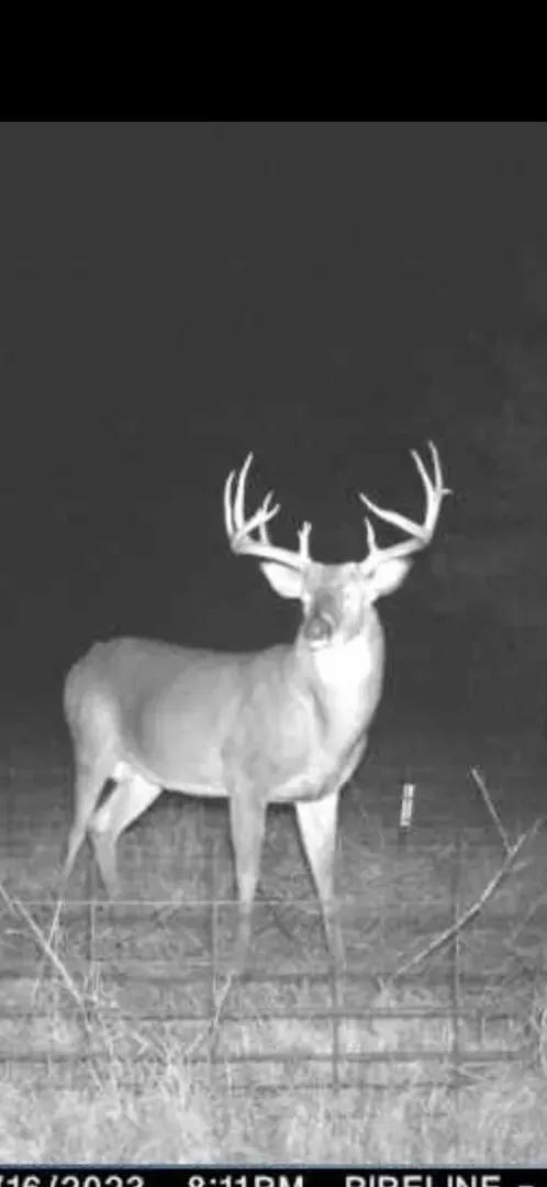 Dynamic Webster Parish Hunting and Recreational Property