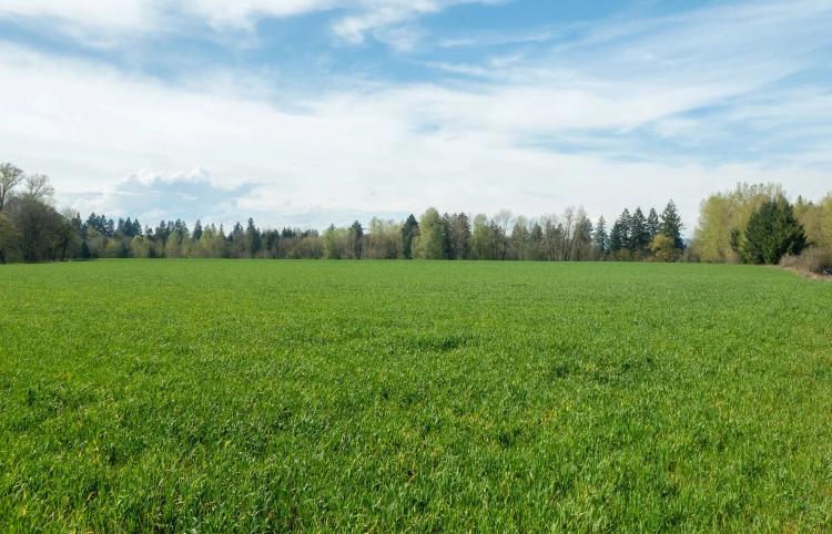 Rare St. Paul Farm Opportunity