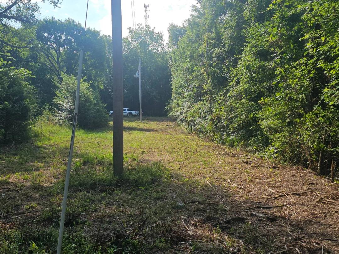 2.5 Acre Lot in Sardis Acres, PHS, SARDIS LAKE