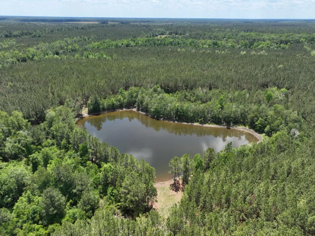  Recreational timberland with pond 
