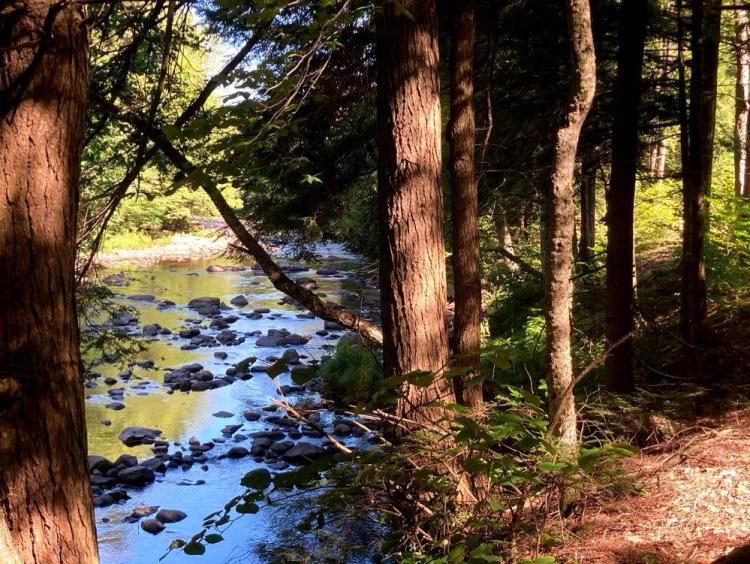 7.30 Acres Off Grid Waterfront on Spruce Creek!