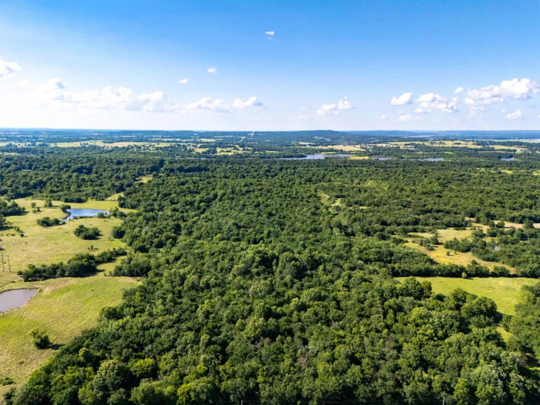 Timbered Hunting Tract with Development Potential