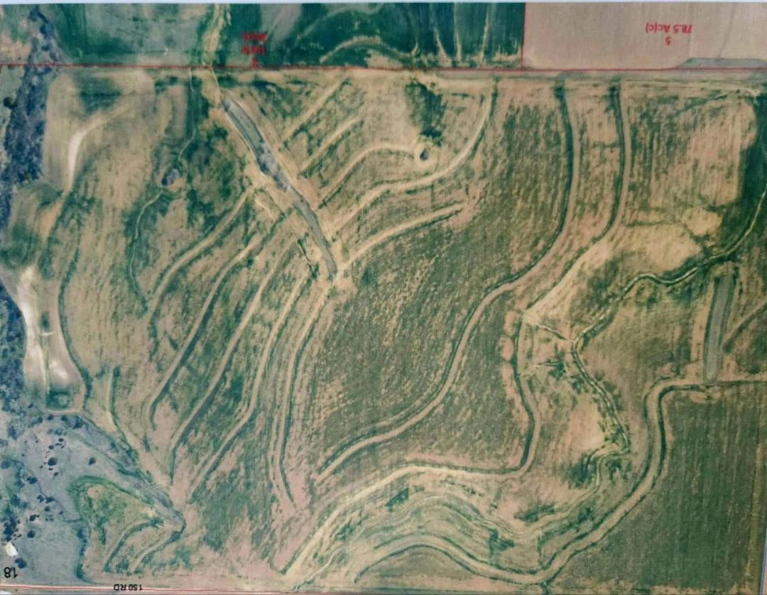 Versatile farmland 237.5 acres in corn production