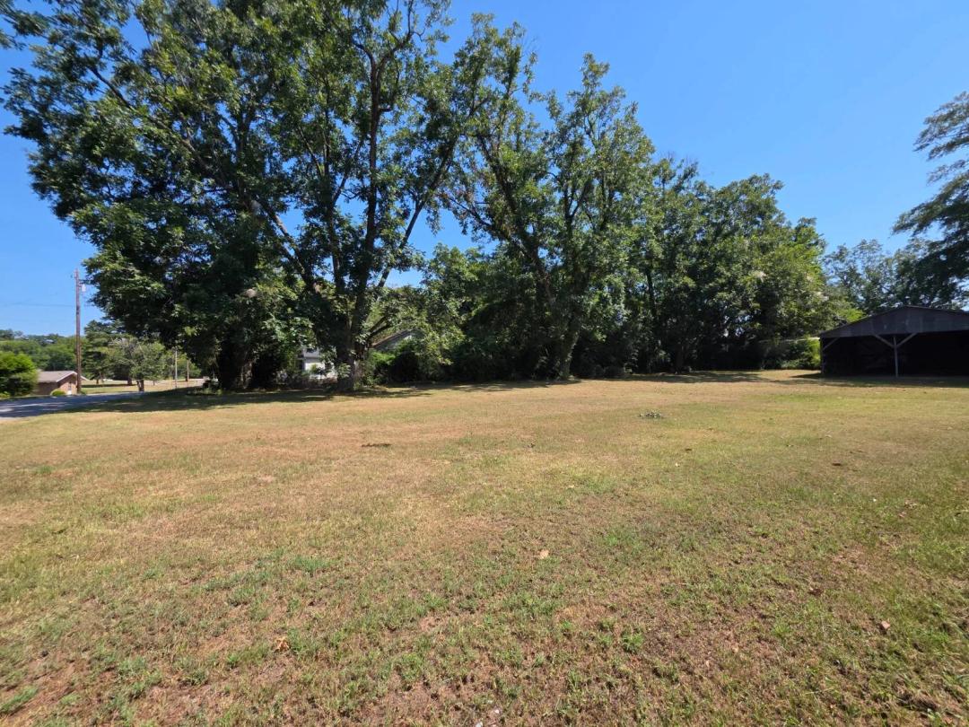 Eutaw City Lot-0.34 Acres