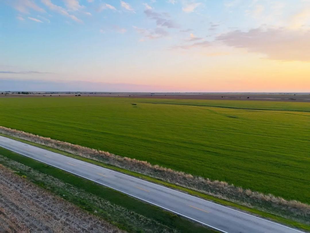 Bunker Hill Tillable Cropland with Paved Road Frontage 