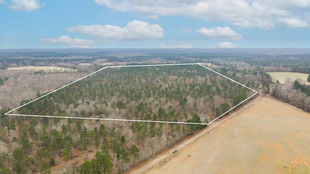 Beautiful 10+/- acre tracts, ready for your vision