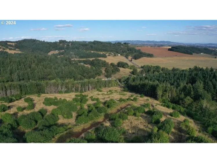 Acreage Property With Endless Potential