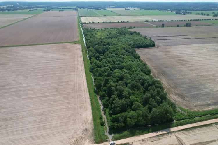 24 m/l ACRES IN GREENE COUNTY ARKANSAS