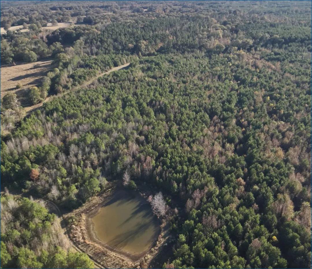 263 Acres in Hinds County in Crystal Springs, MS