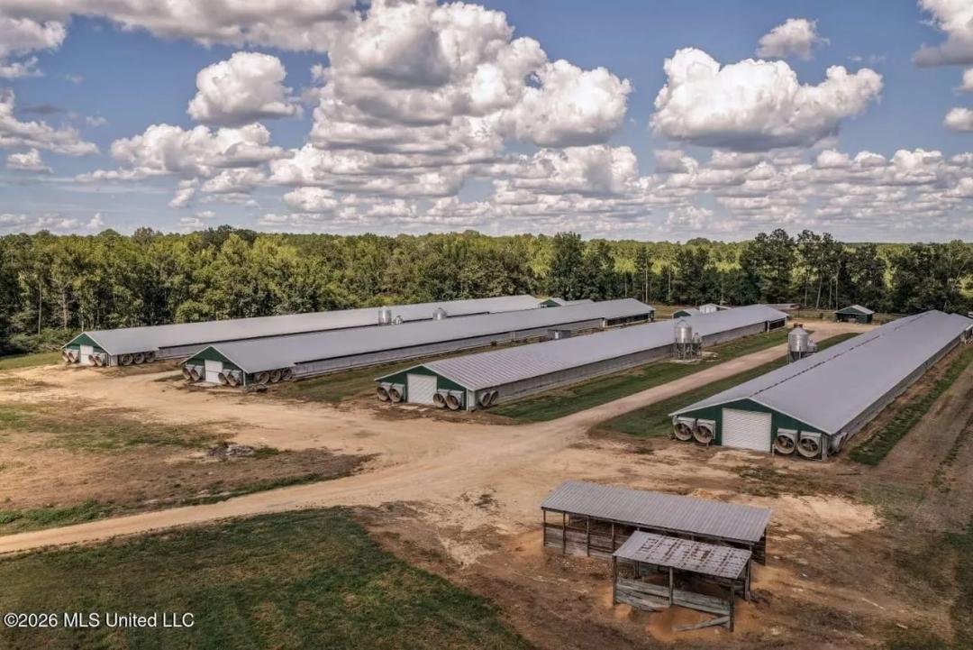 4-House Poultry Breeder Farm for Sale in Silver Creek, MS