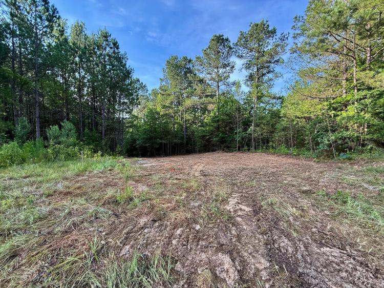 70 Acres in Winston County, MS 
