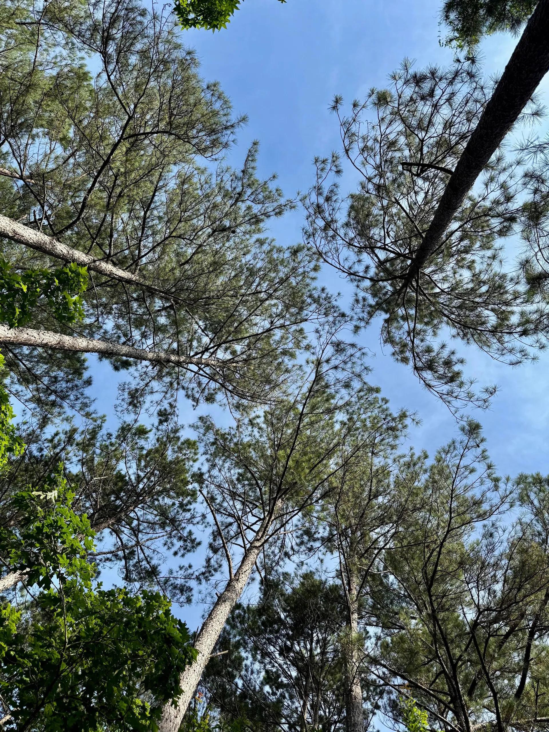 64394984-28