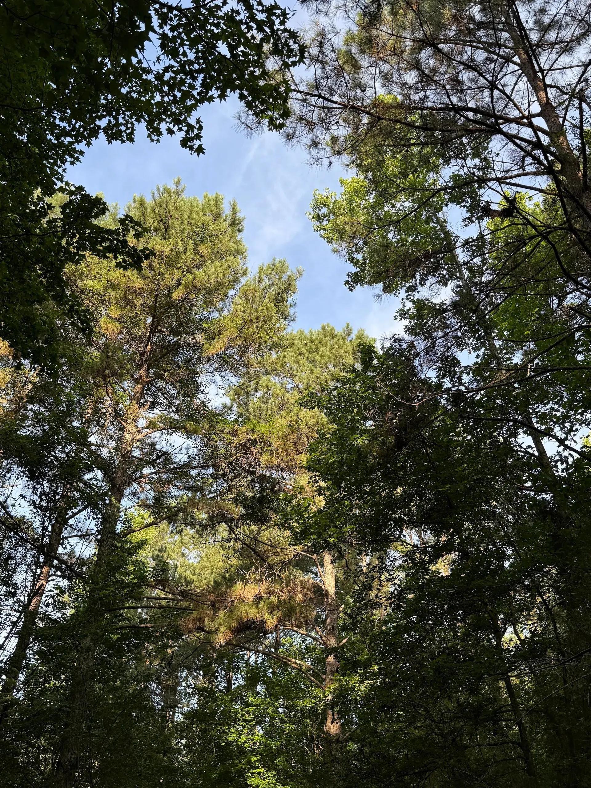 64394984-6