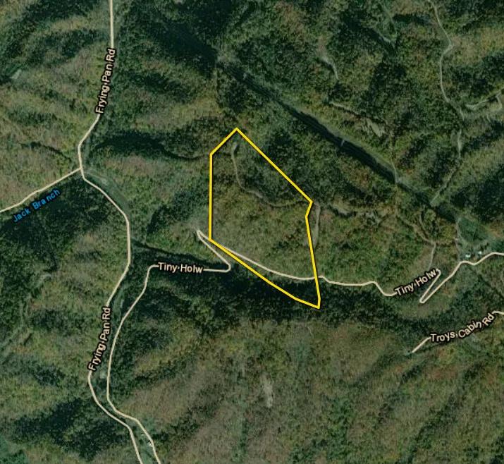 77.18 Acres at 00 Tiny Hollow
