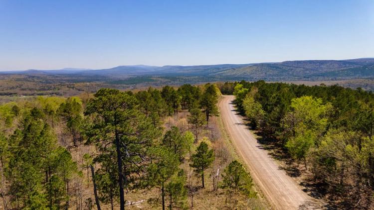 292 Acres with Beautiful Mountain Views, Excellent Hunting, and Development Potential
