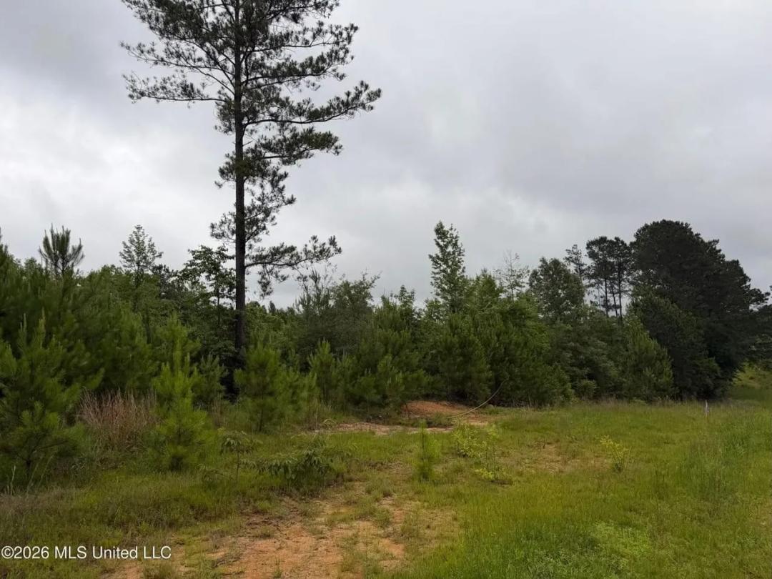 1.58 Acres North Pike School District Summit, MS 