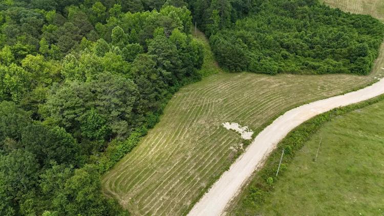 Rural 3.5 Ac. Lot Collinsville, AL