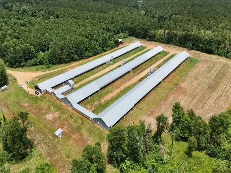 4J Breeder Farm – Three House Breeder Farm in Amite County, Mississippi