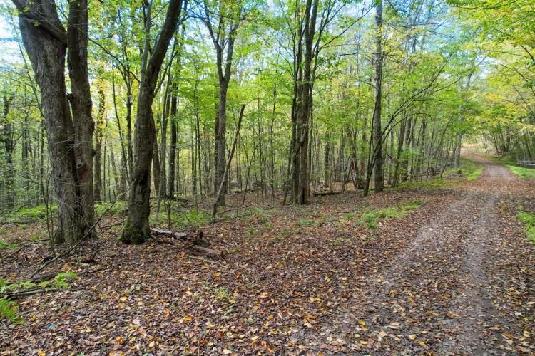 5.1 Secluded Wooded Acres