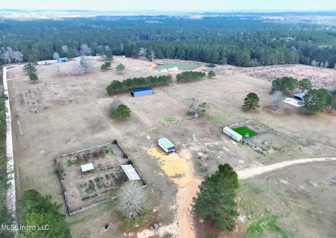 40 Acres Pike County MS Near I-55 Summit MS