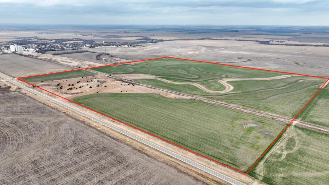 Burdett Dryland 147
