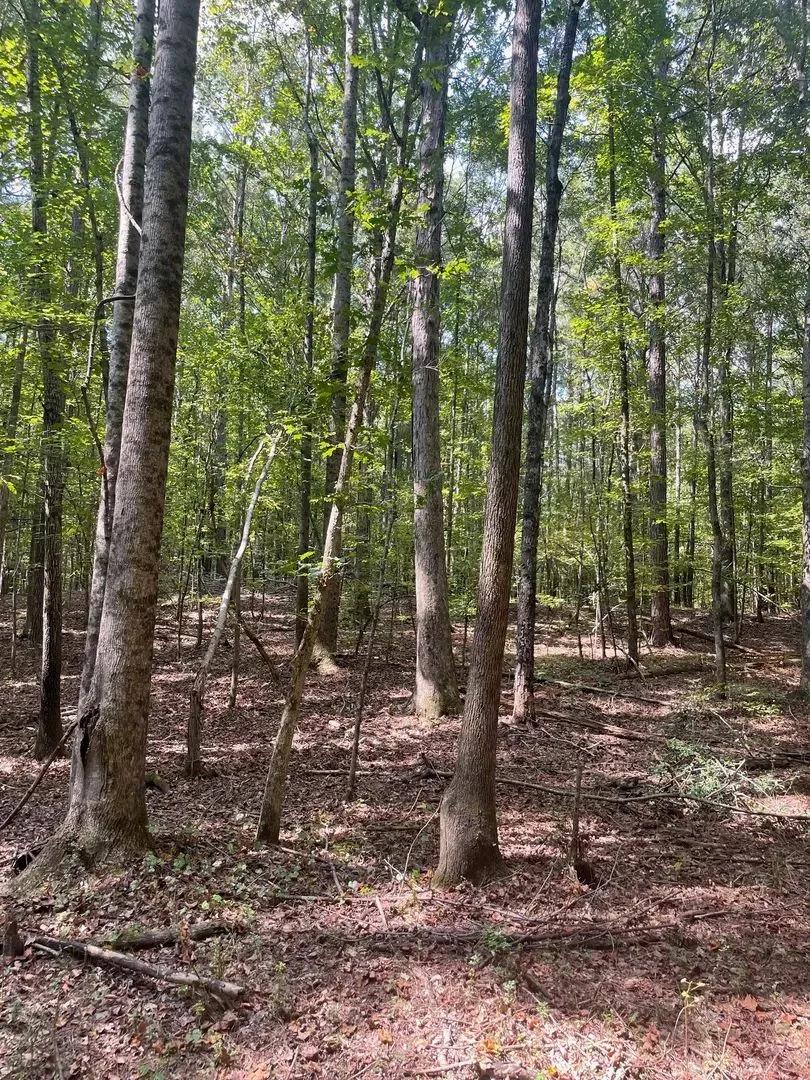 0 Elder Rd. Spalding Co.70 ac.