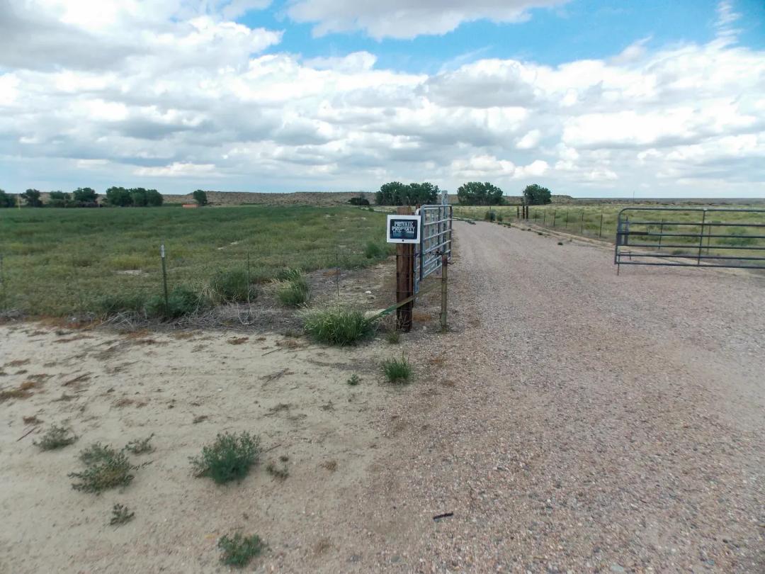 49.5 Acres Irrigated Farmland