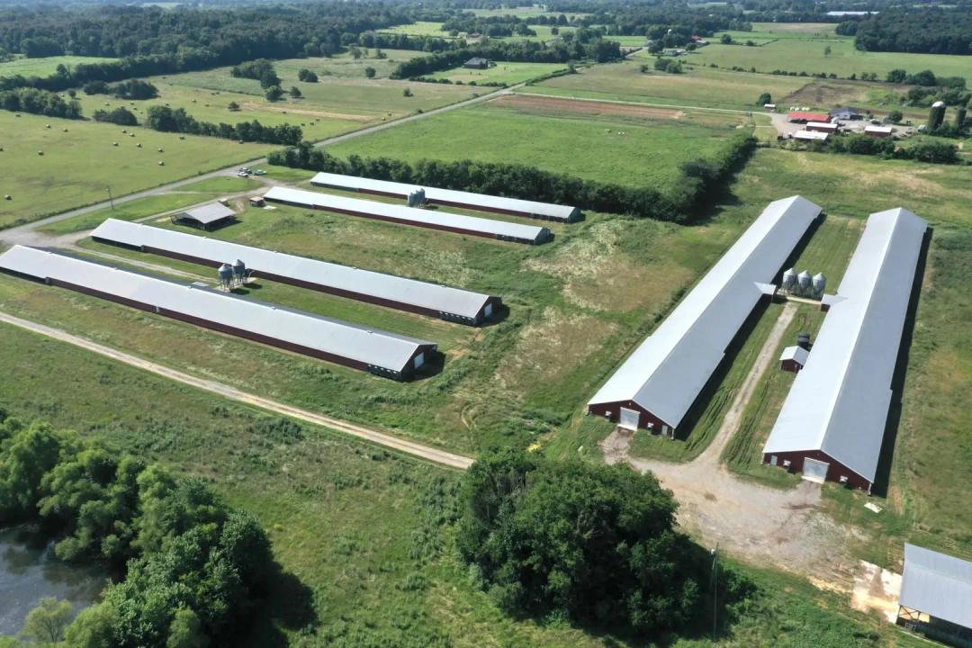SALE PENDING - Raney Farm