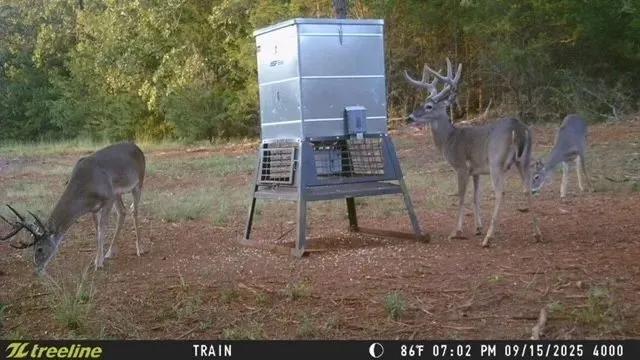 16092 County Road 440 #Tract 1 Lindale, TX