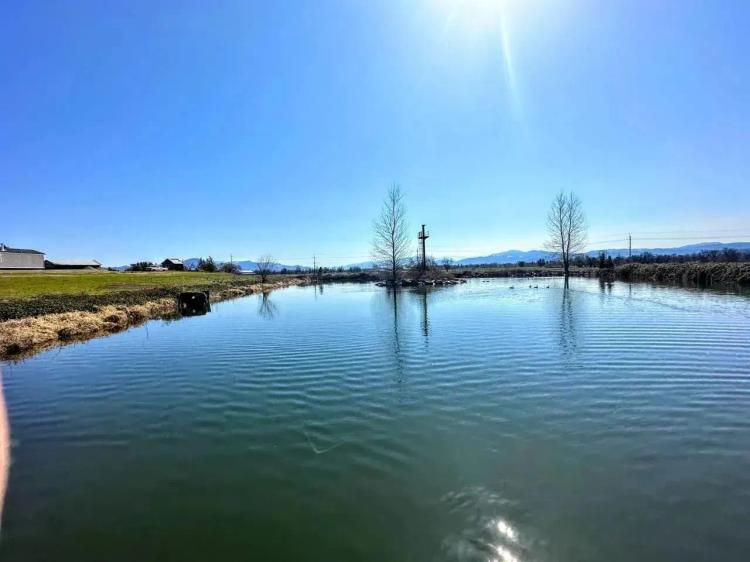 Bear Creek Farm Ground