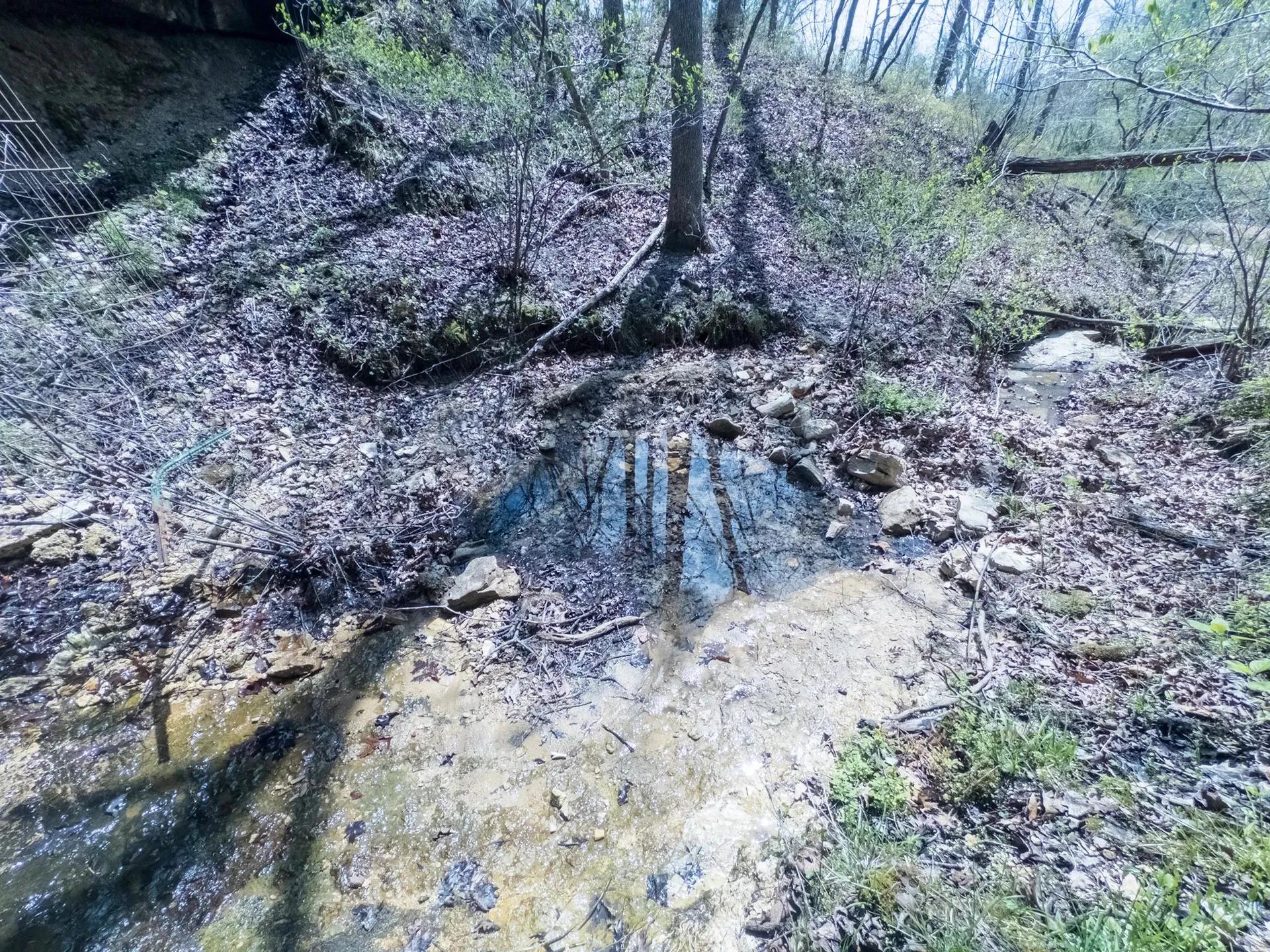 64653646-32