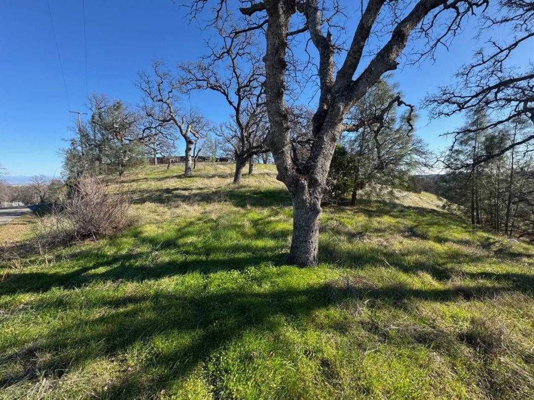 1.43 Acres at 16495 Hillcrest Road