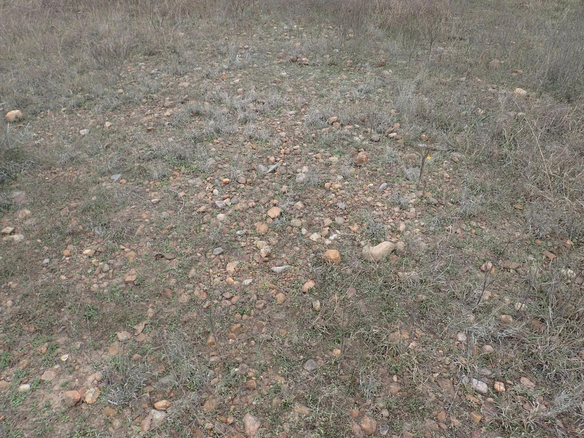 64705107-9