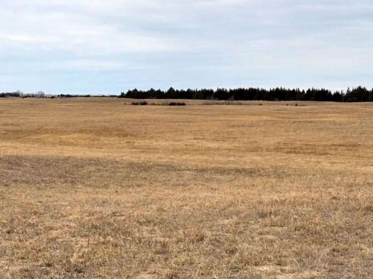 160.34 Acres, more or less Antelope County, Nebraska