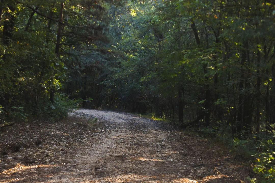 160 Acres [Tract 1] in Hempstead County, AR 