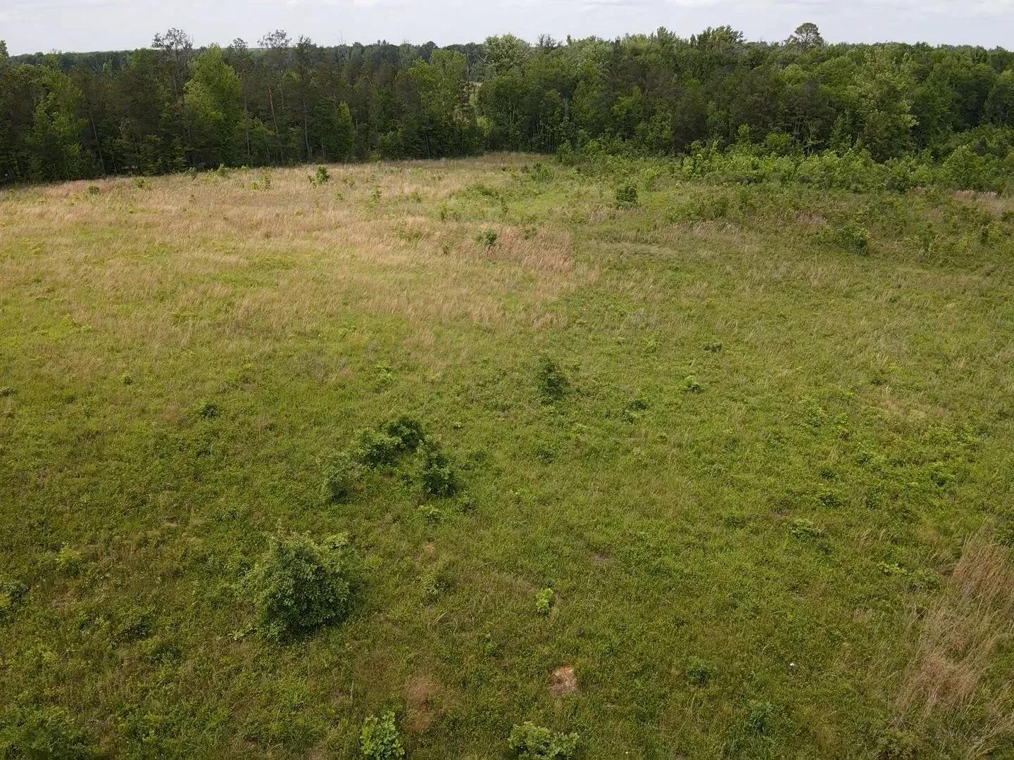 64786011-11