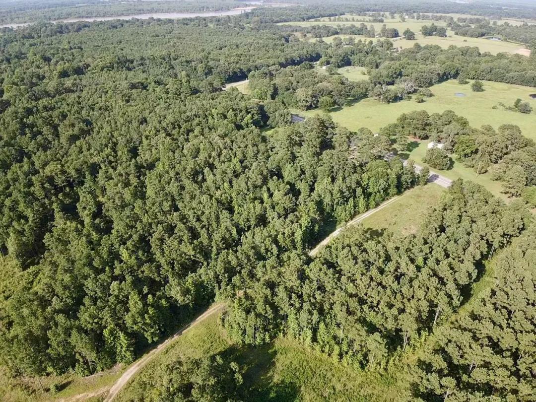 43± Acre Hunting & Recreation Tract | Red River County, Texas