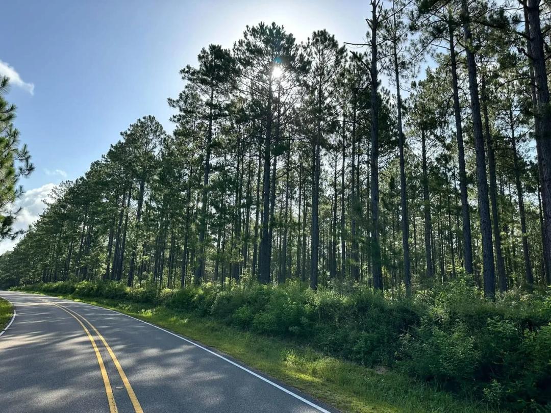 32.50 Acres at 0b Myrick Road