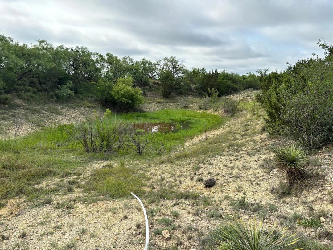 19 acres McCulloch County