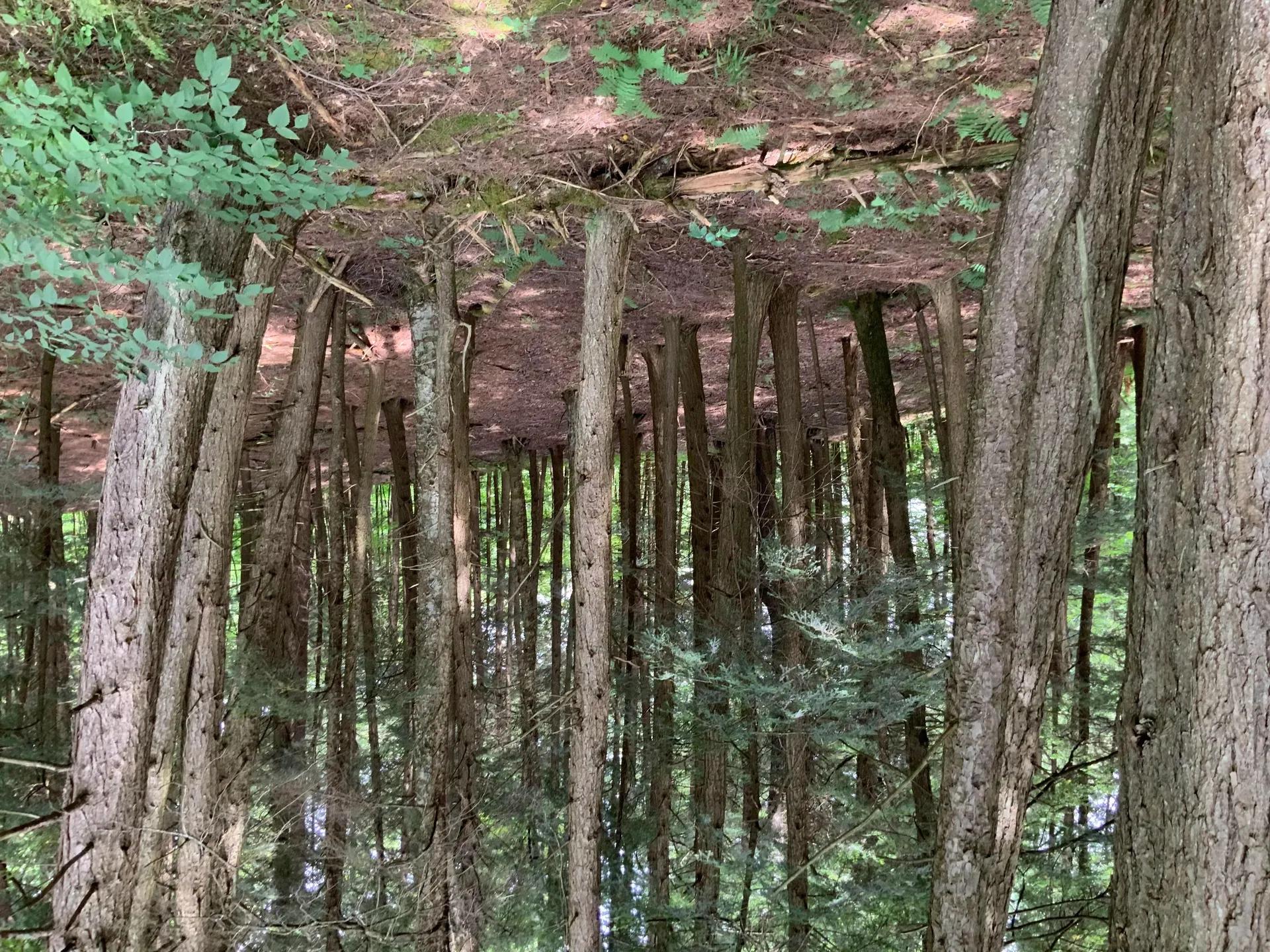 64883709-25