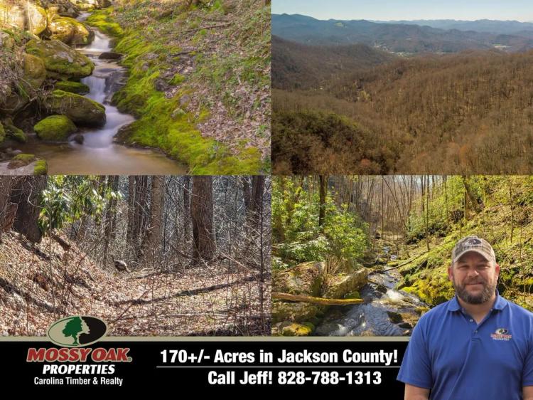 169+/- Acres - WATERFALL TRACT Bordering U.S. Forest Service!