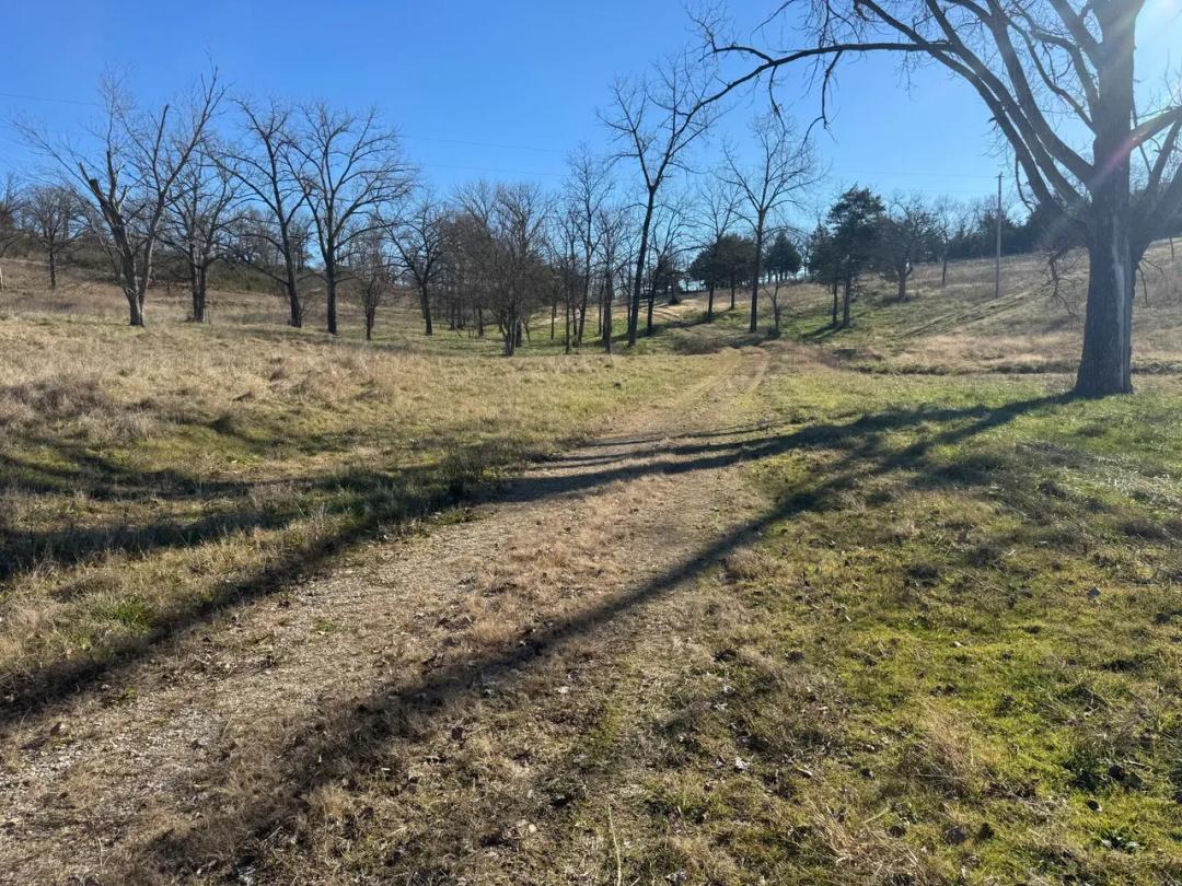 30 Acres in Stone County Missouri