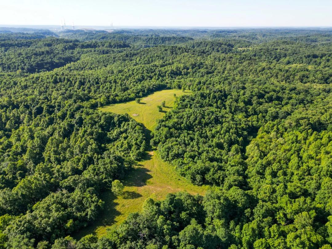 The Titus Whitetail Farm
