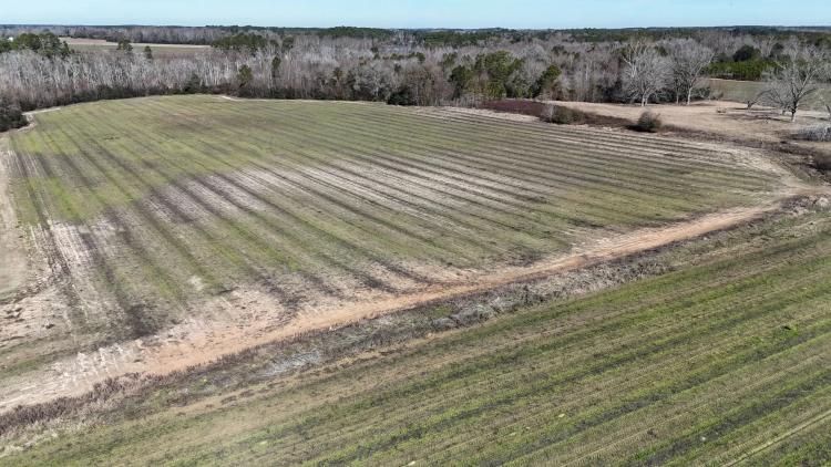 60 Acres in Irwin County, GA 