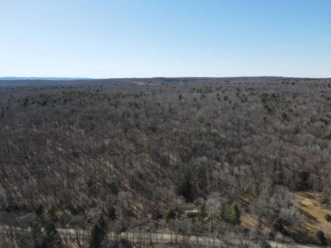 Private Escape With Large Acreage