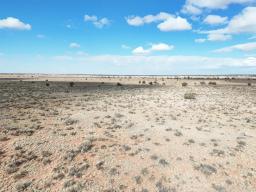 DJI_20250127110827_0986_D