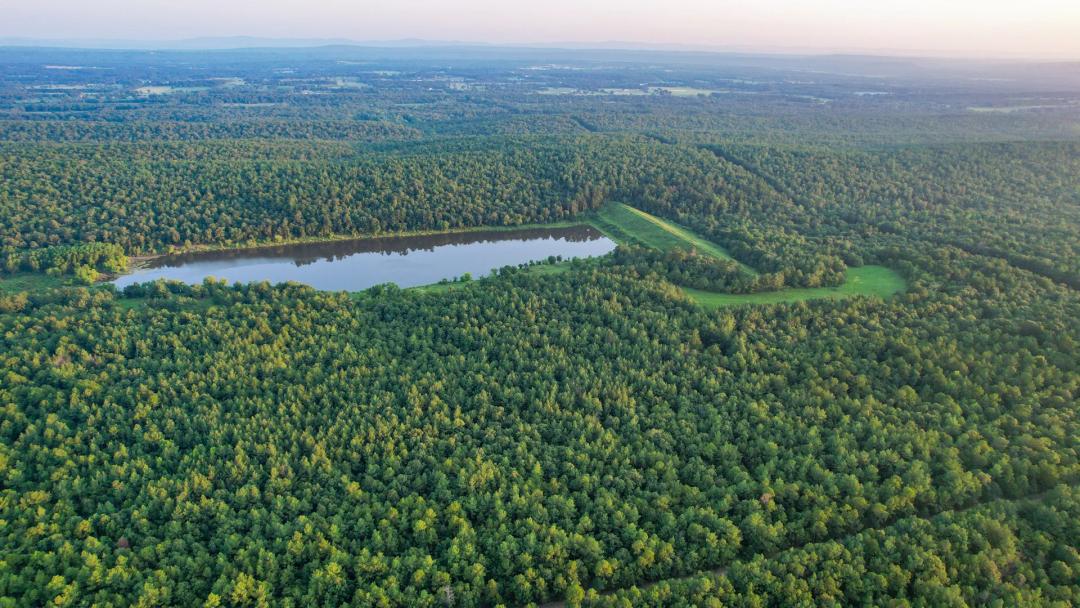 Mena Timber East