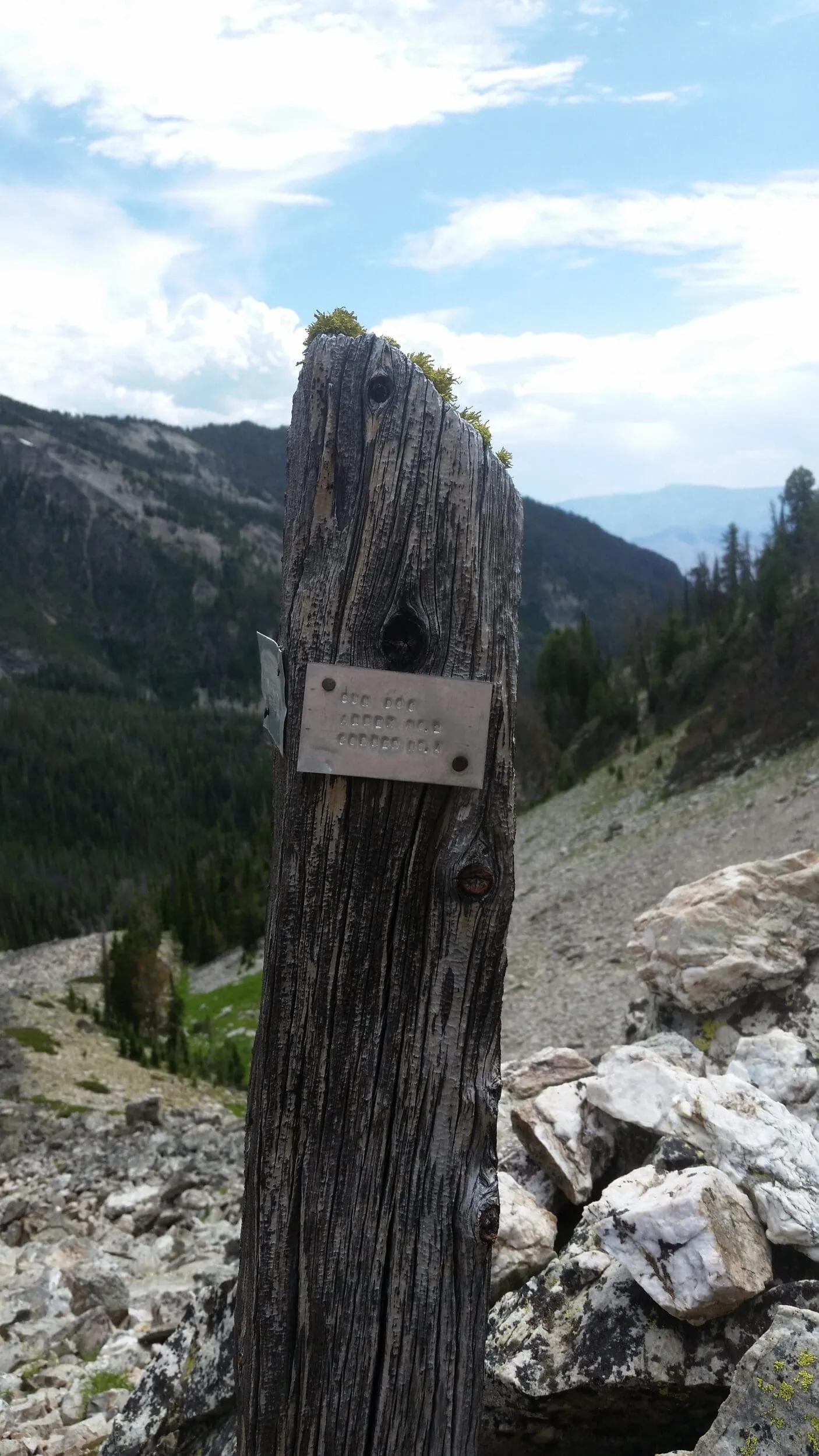 64987695-9